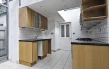 Llanellen kitchen extension leads
